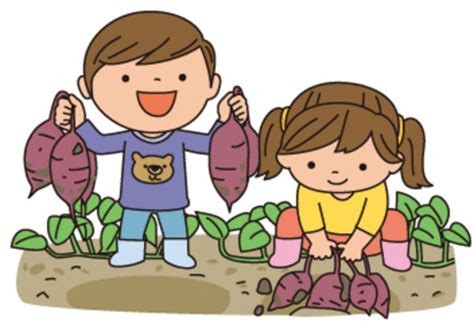 【環境・景観部会】園児のさつま芋掘り報告🍠