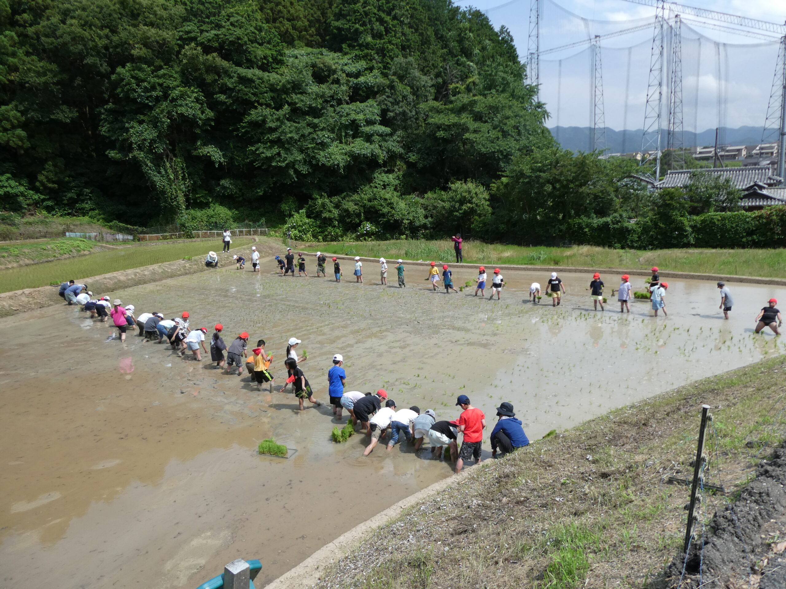 6月18日(水)神興小学校5年生が田植え体験学習を行いました。