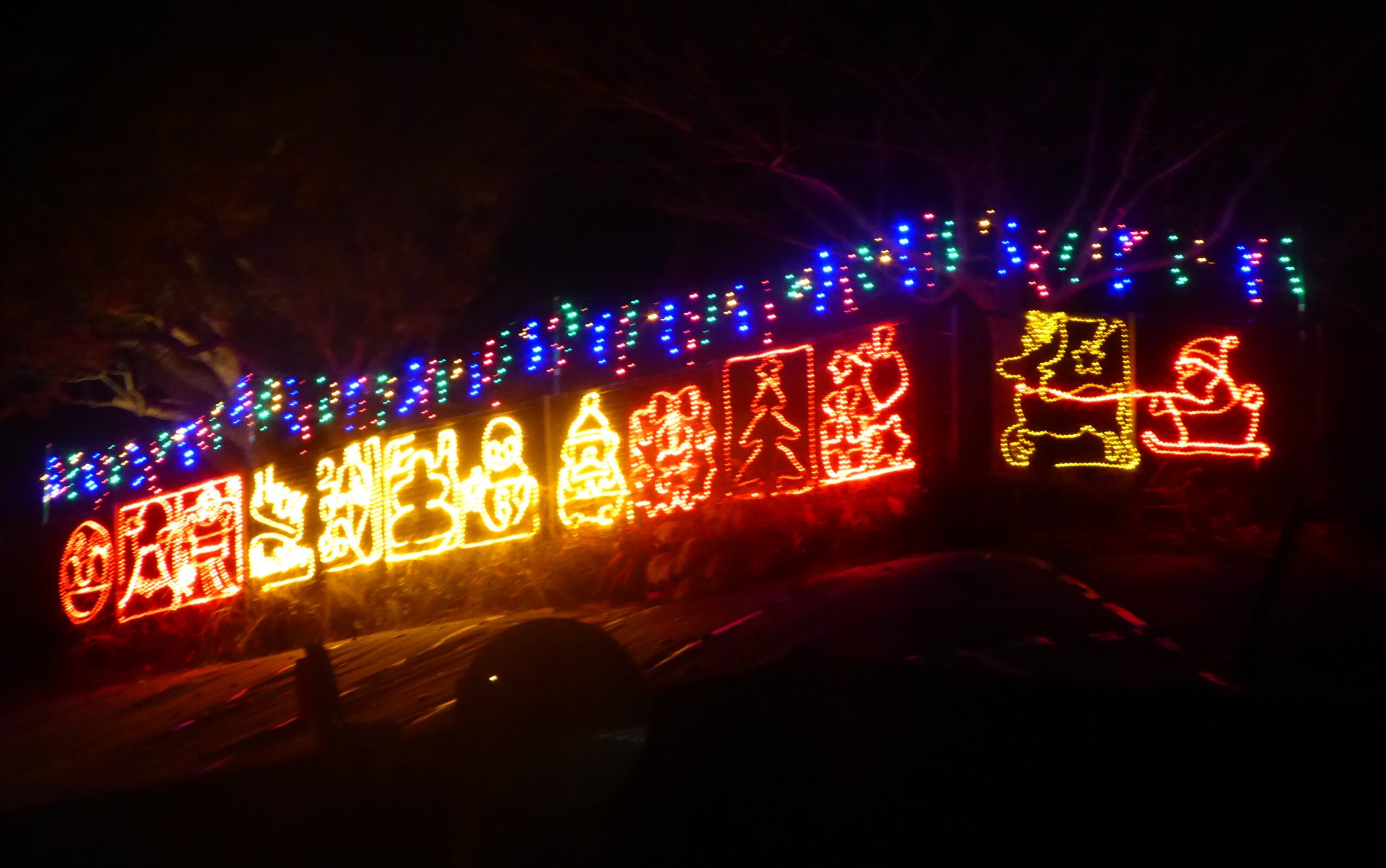 12/15(月)神興小学校にイルミネーションを灯そう!