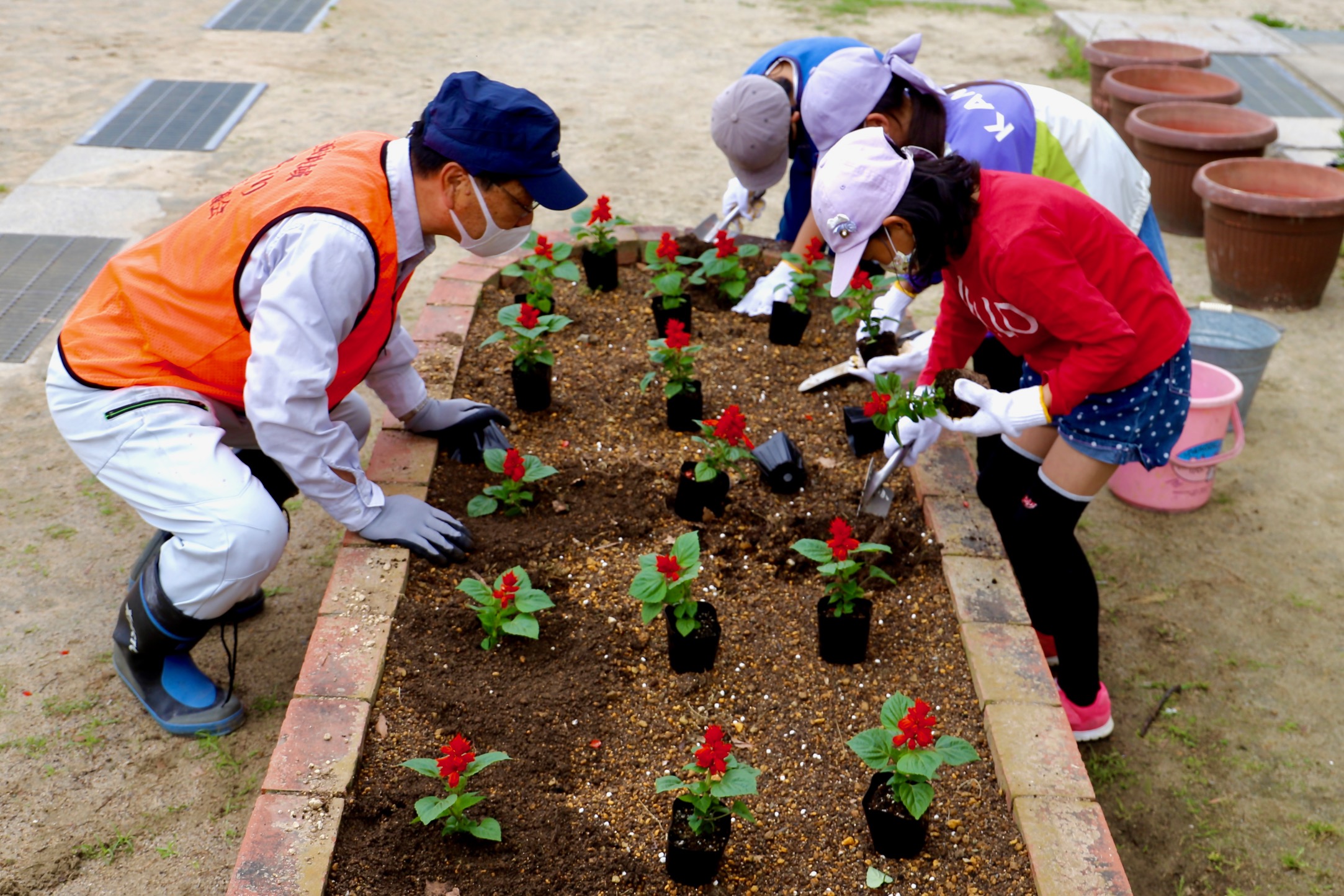 上西郷小学校の花壇に季節の花を植えました