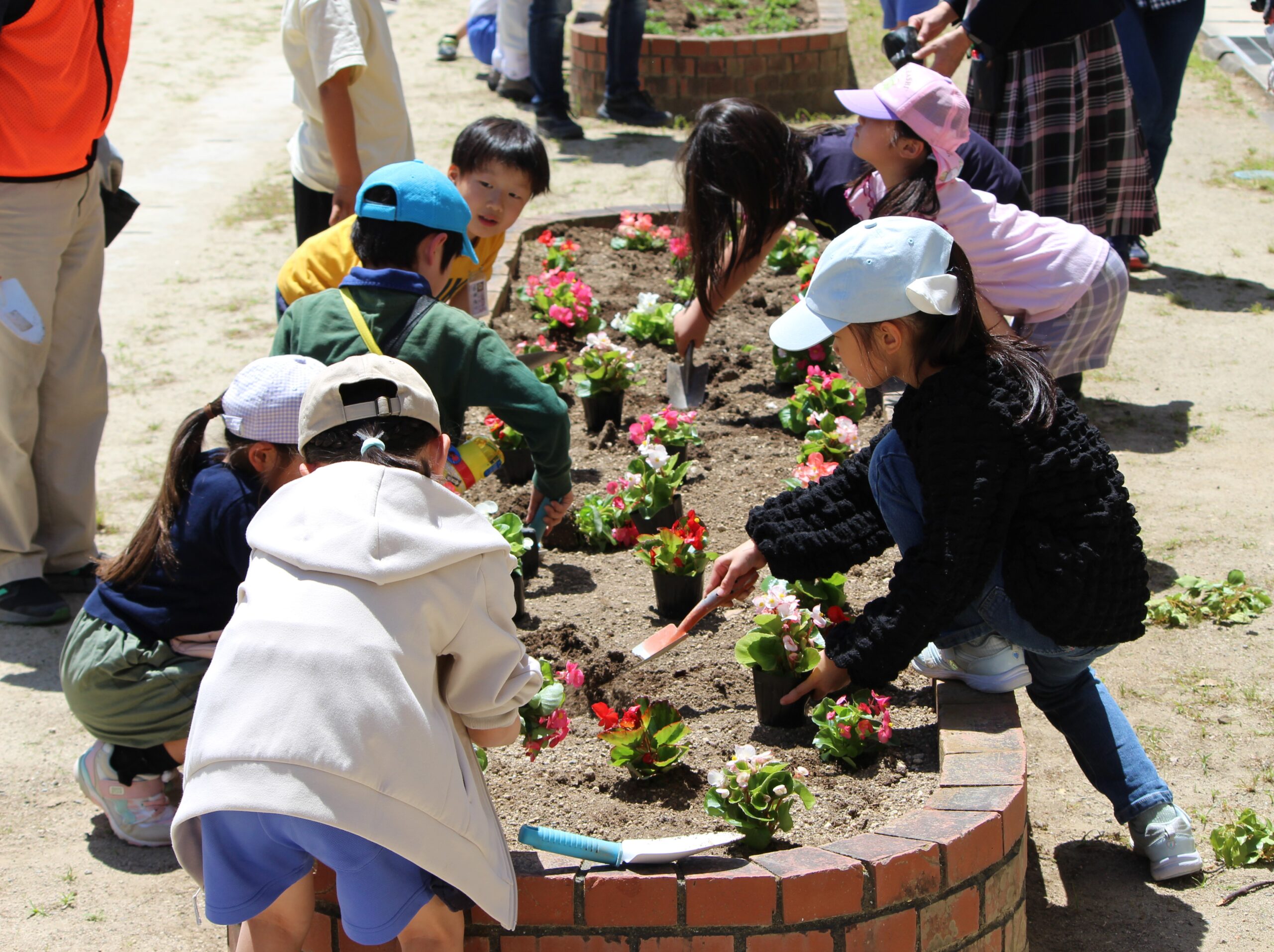 上西郷小学校 春の花植え