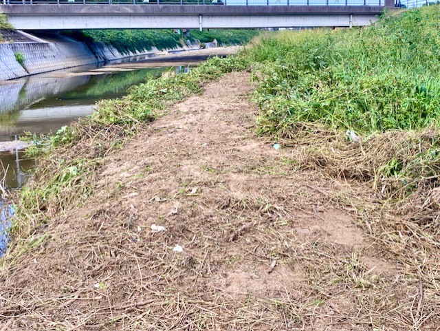西郷川生き物観察の川原整備作業