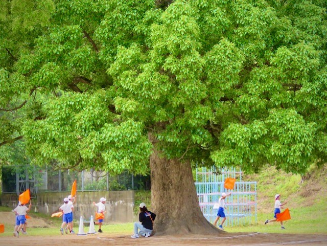 上西郷小学校の運動会