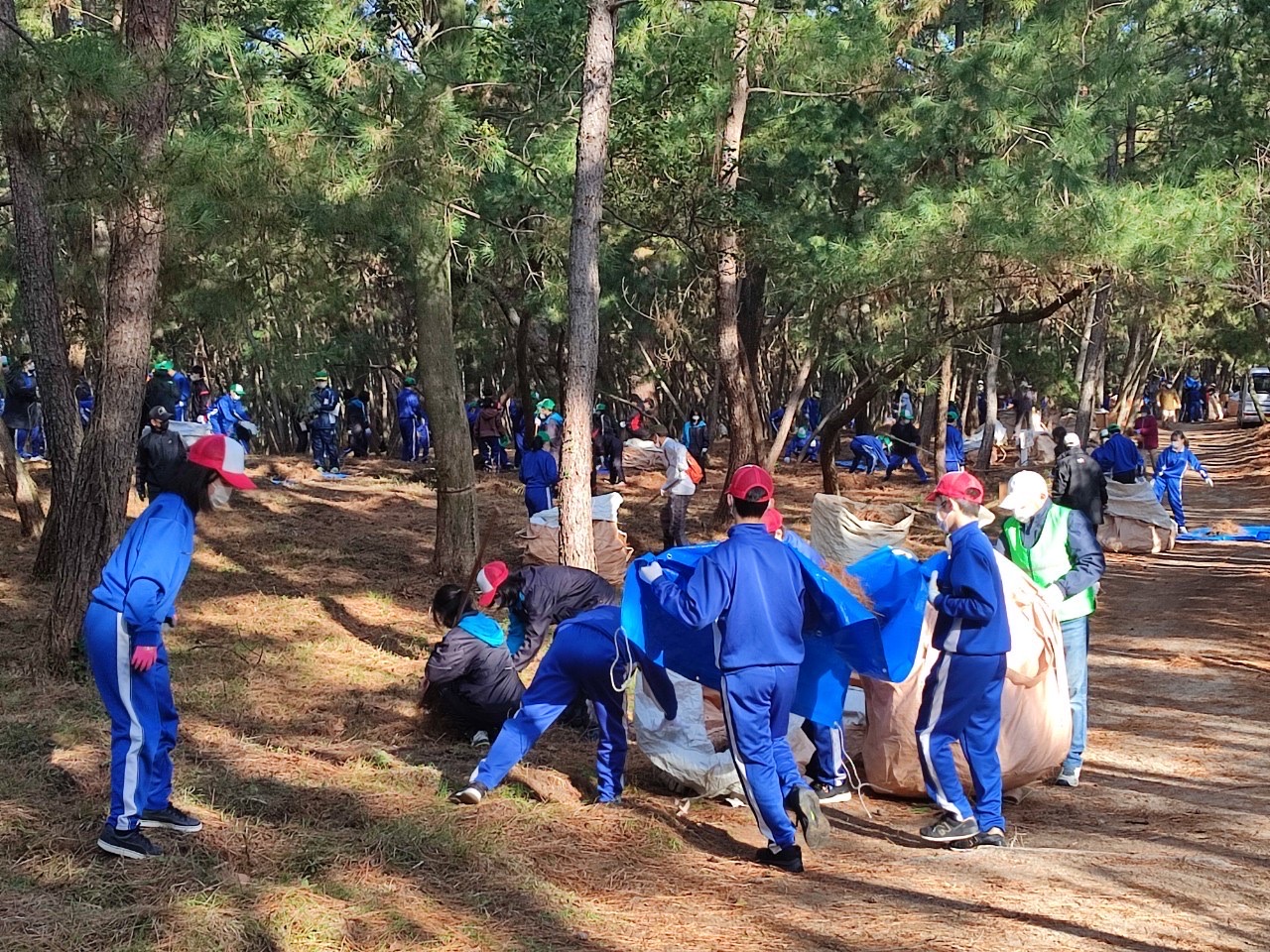 松林保全活動（福間中2年生クリーンランド大作戦）を行いました。