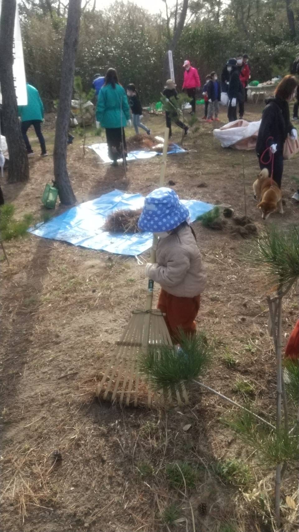 西福間地区＊松林植樹祭
