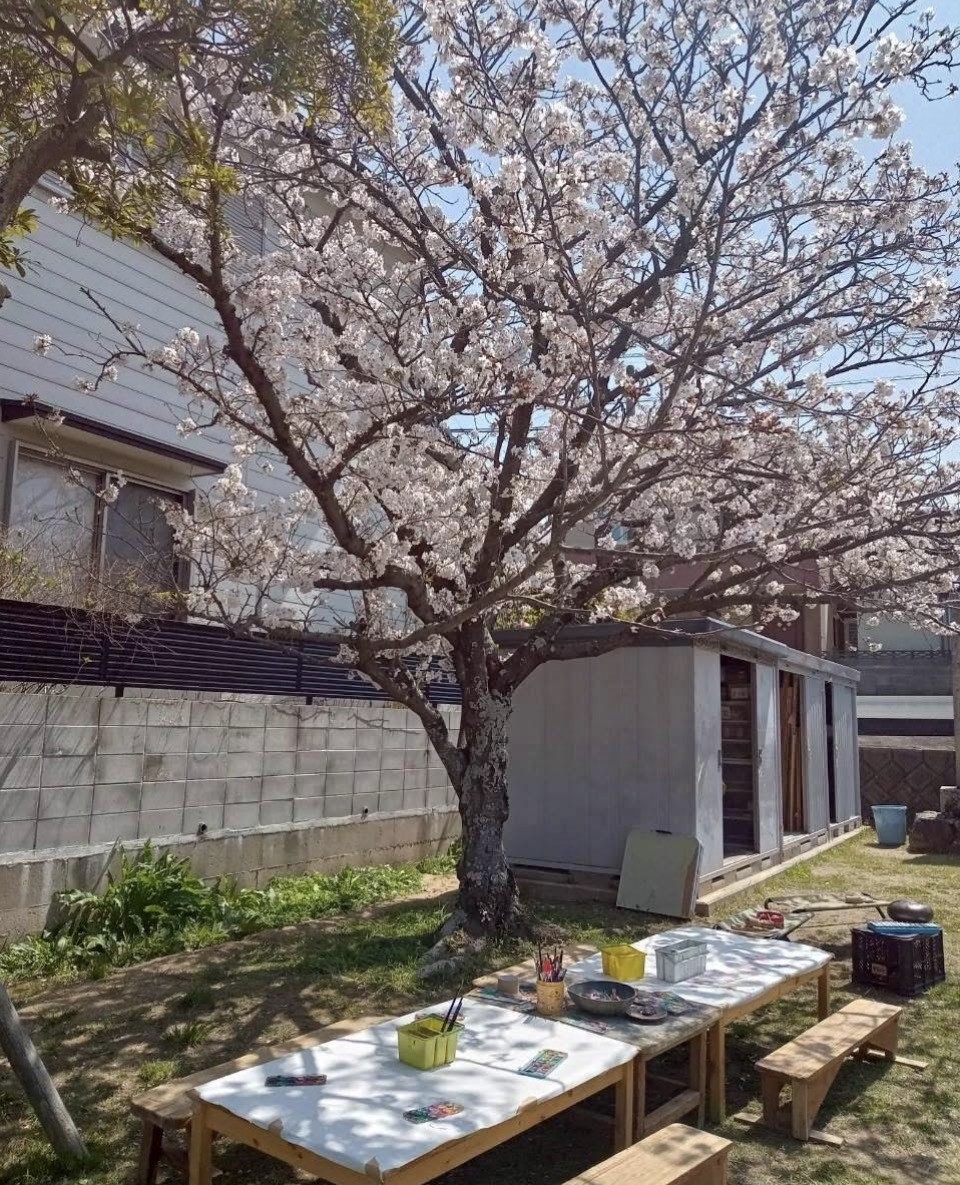 プレーパーク 中止のお知らせ