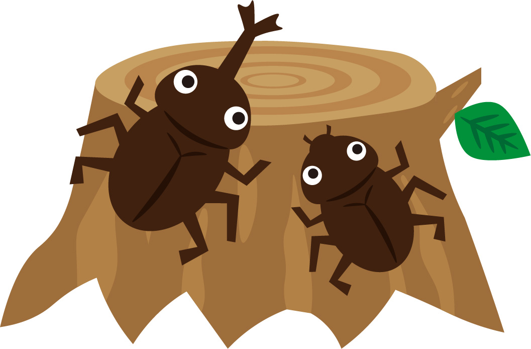 カブト虫やってくるかな？