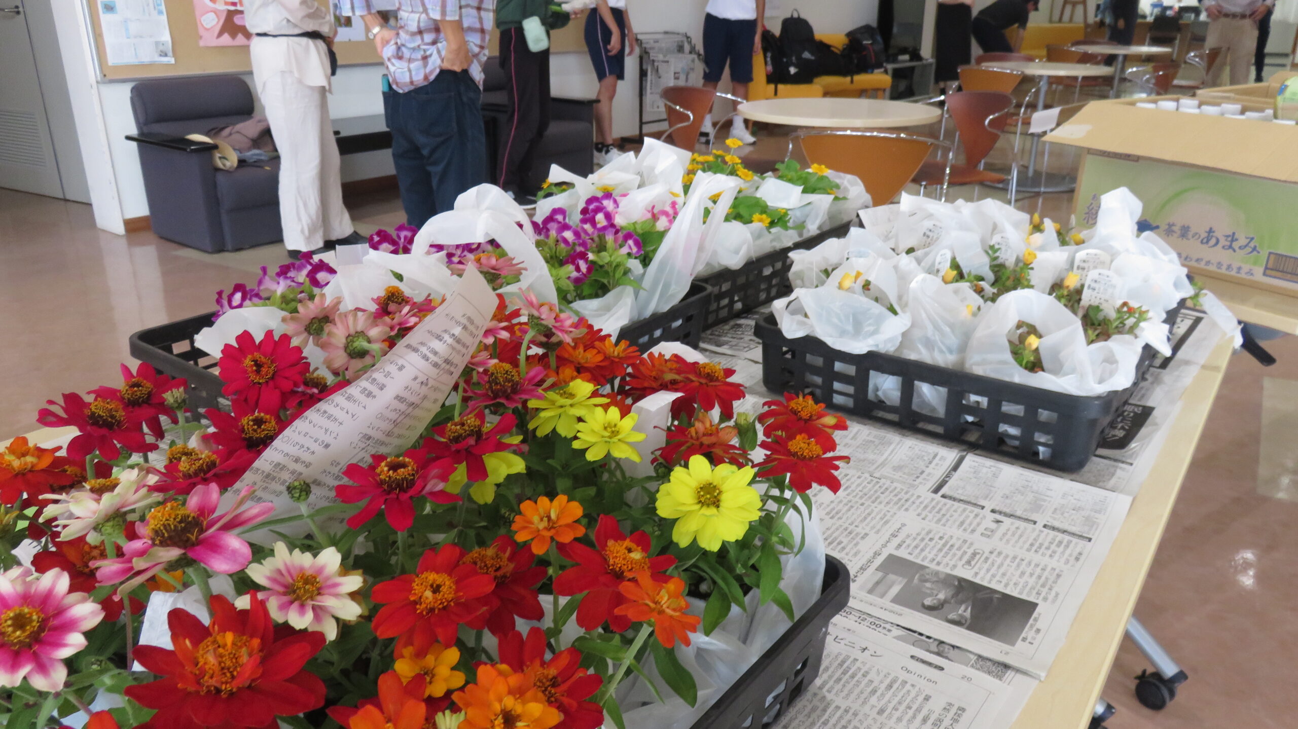 宮司コミュニティセンターの花いっぱい事業（花植え）を行いました！