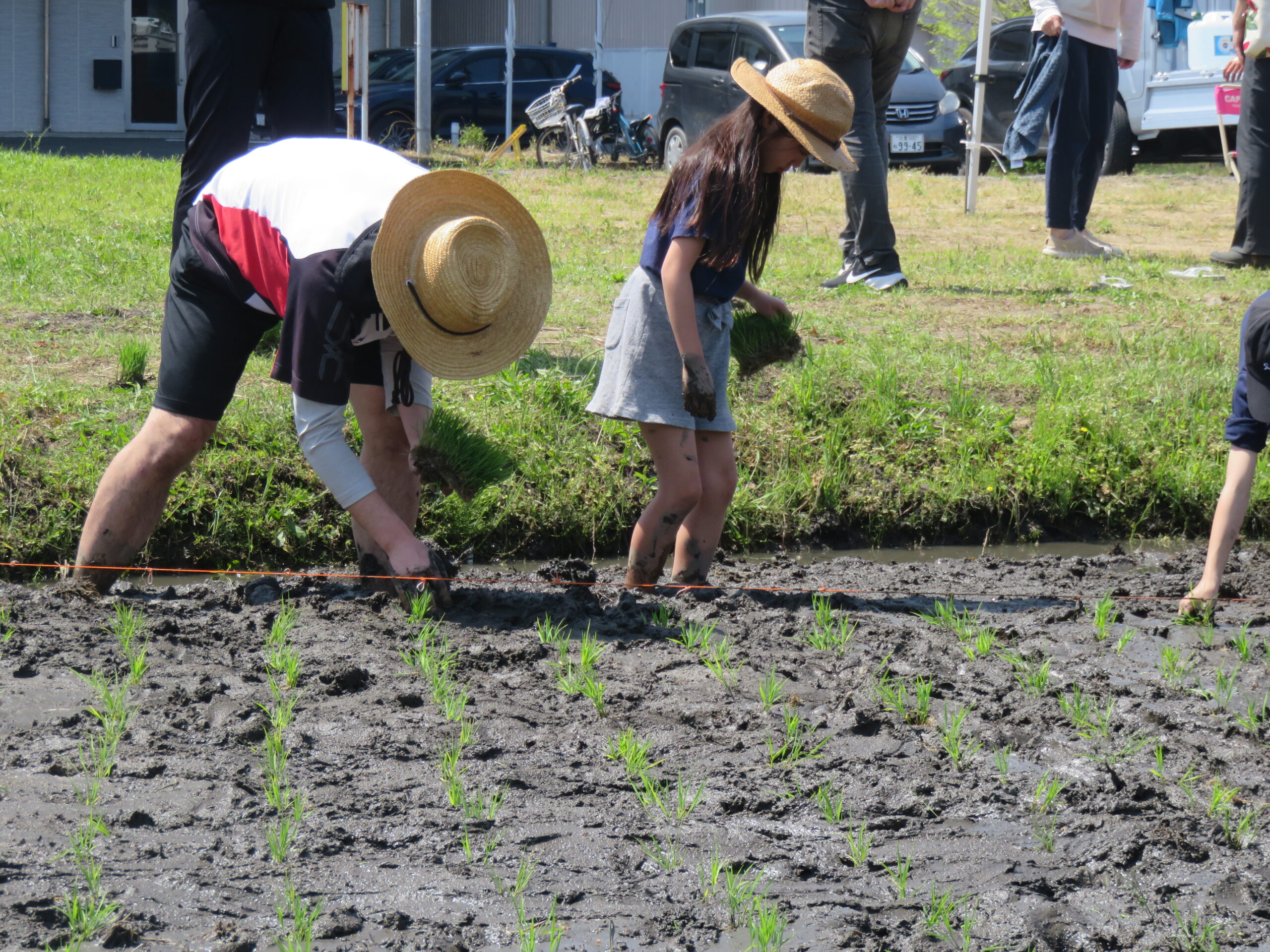 子育て支援部会×田んぼビオトープ班【田植え体験教室】を開催しました♬