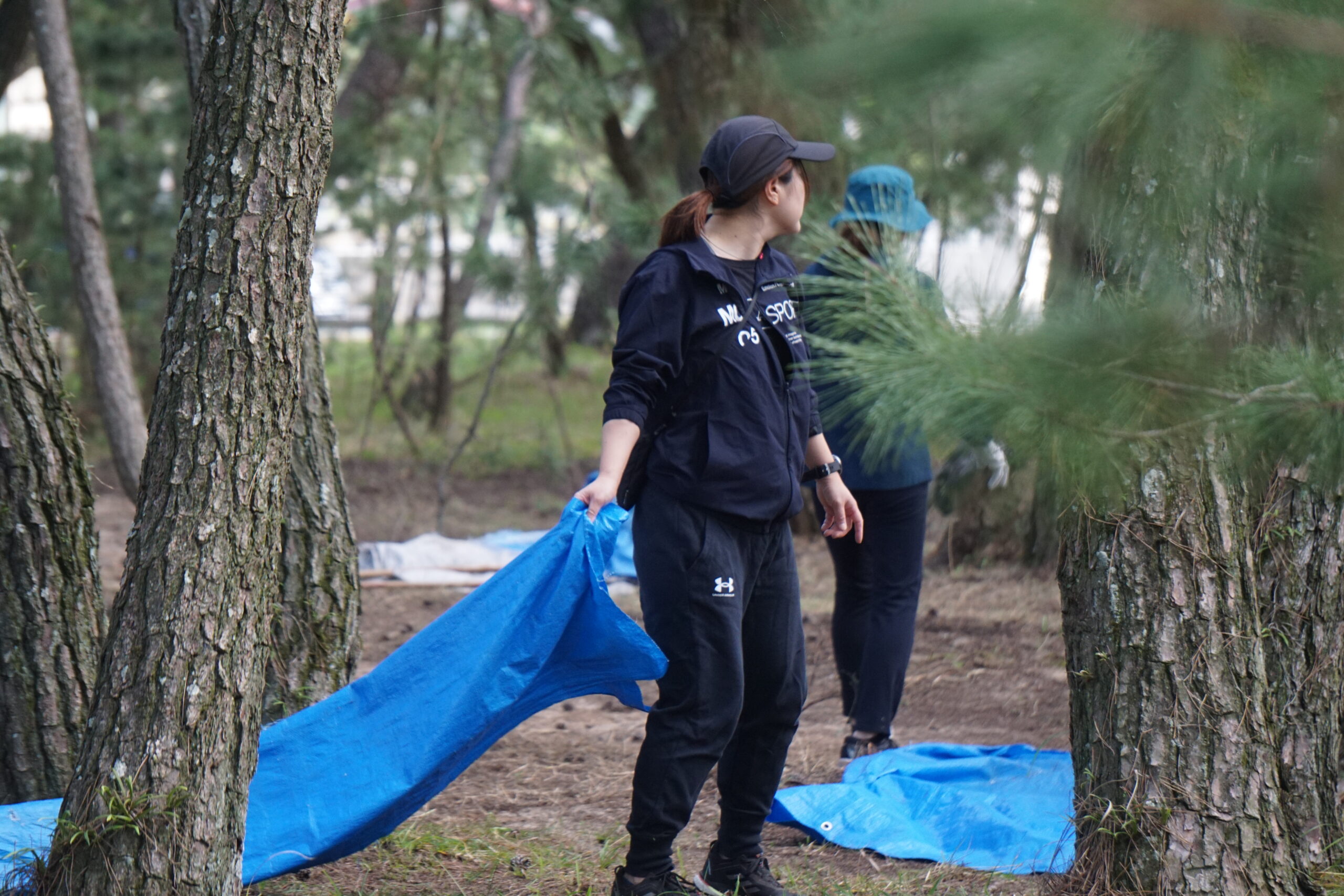 【環境景観部会・松原保全班】定期清掃＆松林で昼食会 を開きました。