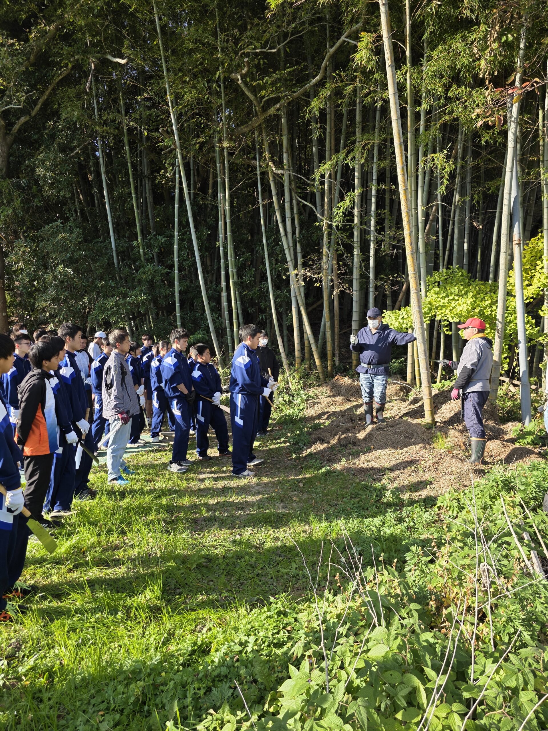 11/22(土)福間東中学校生徒に竹の伐採方法を実践指導しました。 - 神興