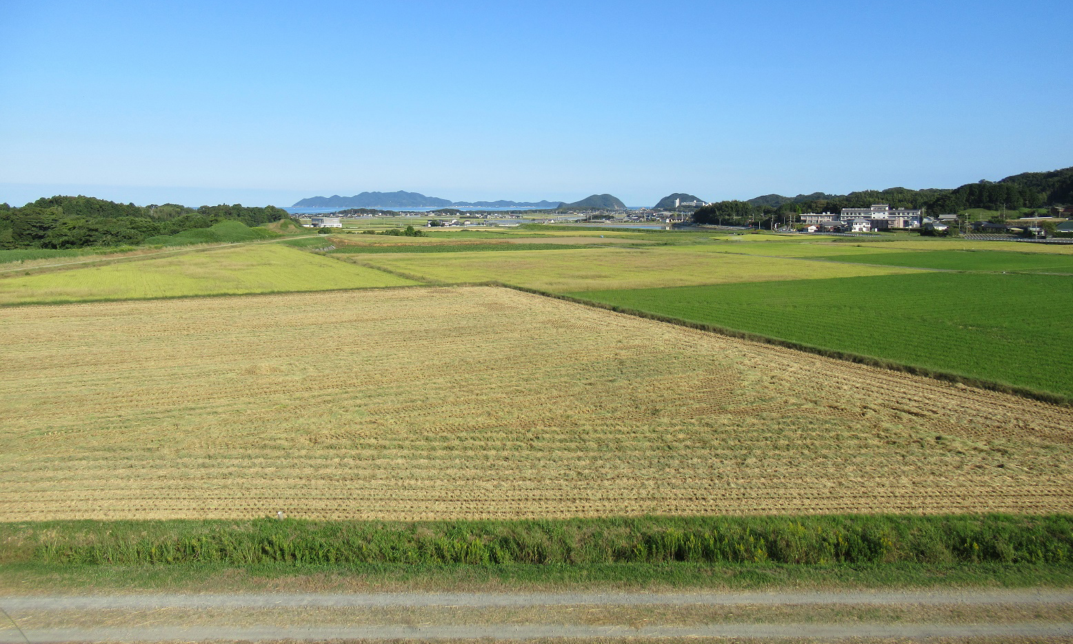 親子古代米づくり教室 第６回目 脱穀と選別を行いました